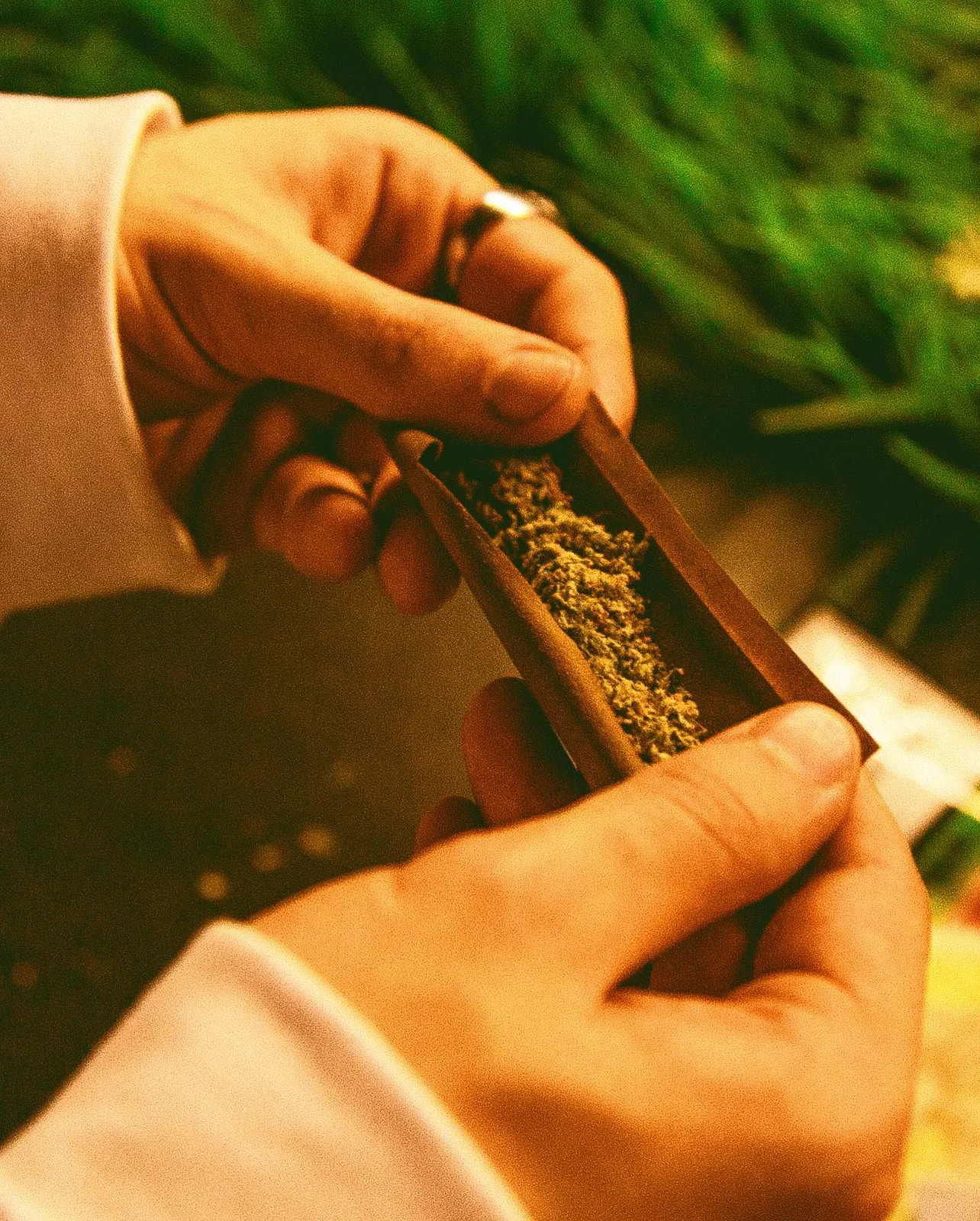 @apteka24x7, photographed by playbodya, 2019–2023